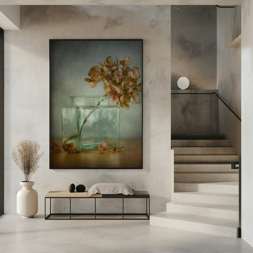 Hortensie | Poster