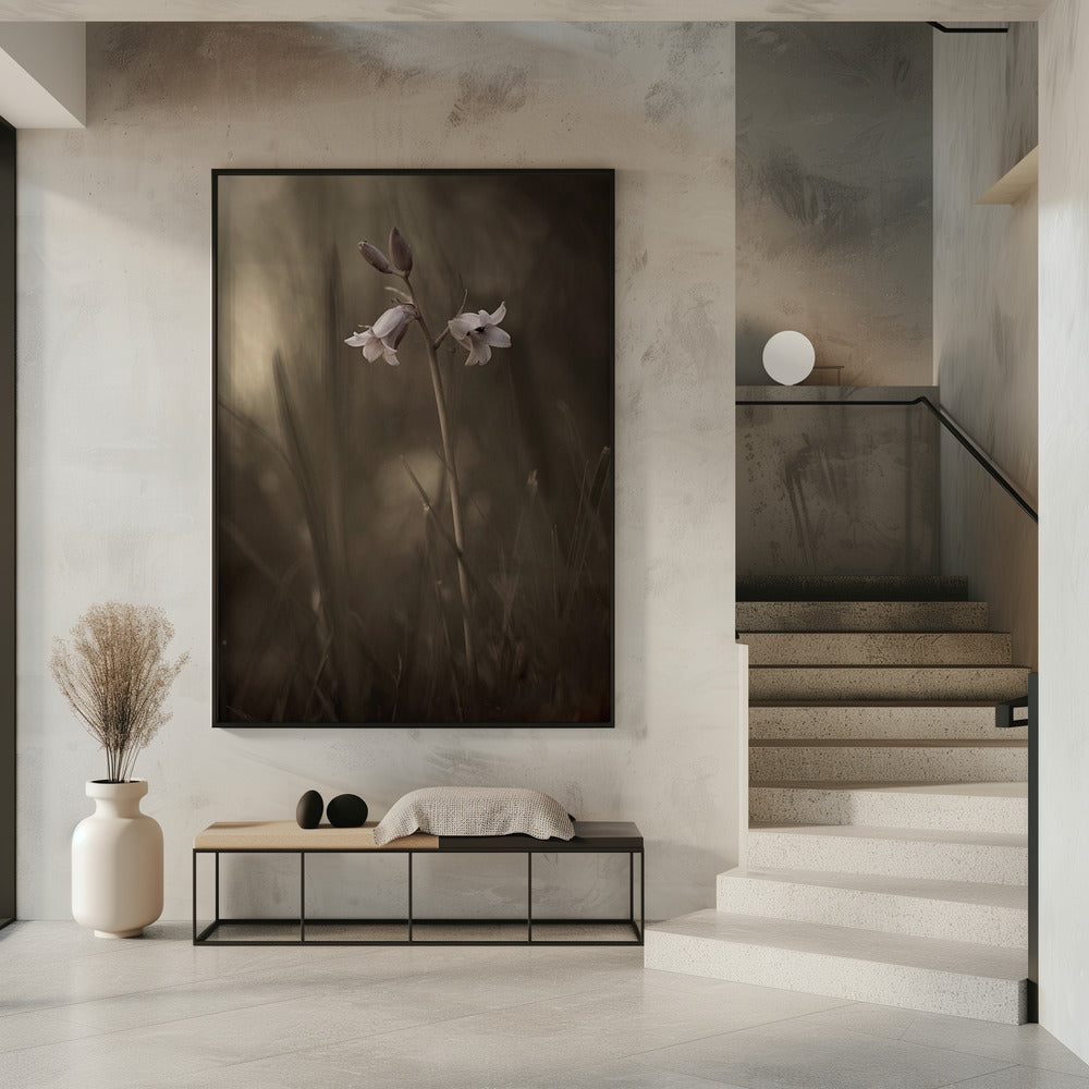 A small flower on the ground | Poster