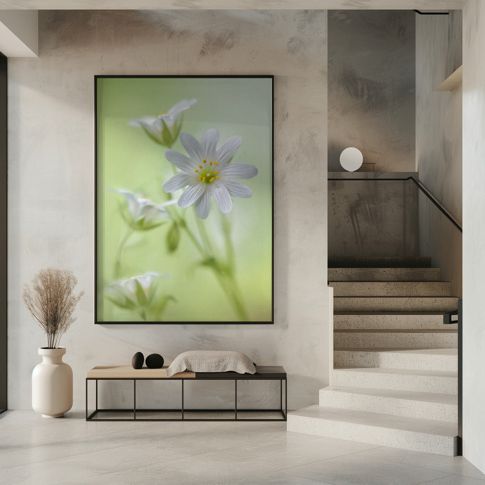 Frühlingsglanz | Poster