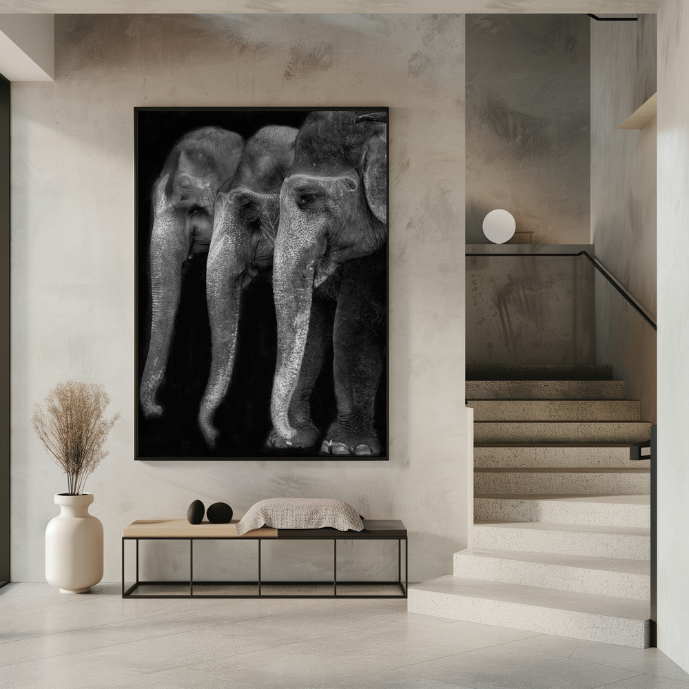 Das große Meisterwerk der Natur, ein Elefant; das einzig harmlose große Ding ... | Poster