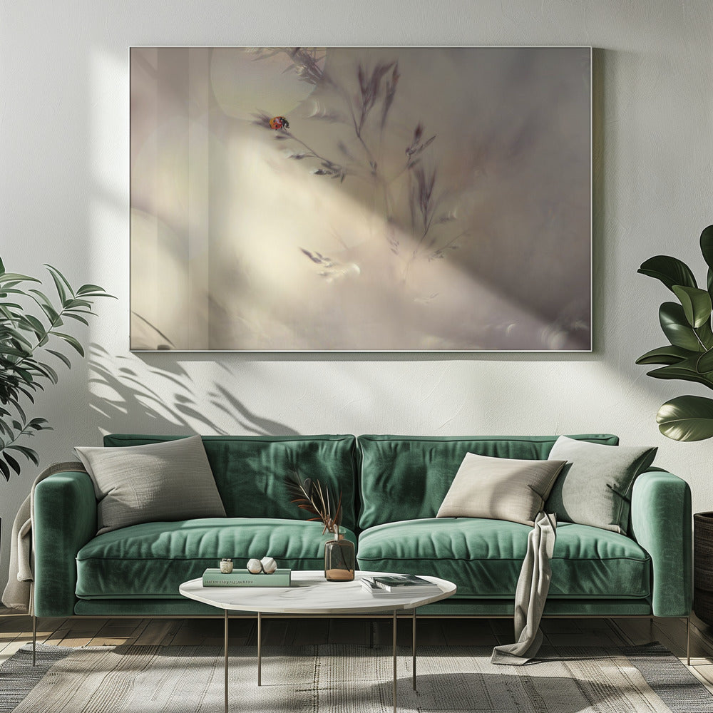 Little lady | Canvas