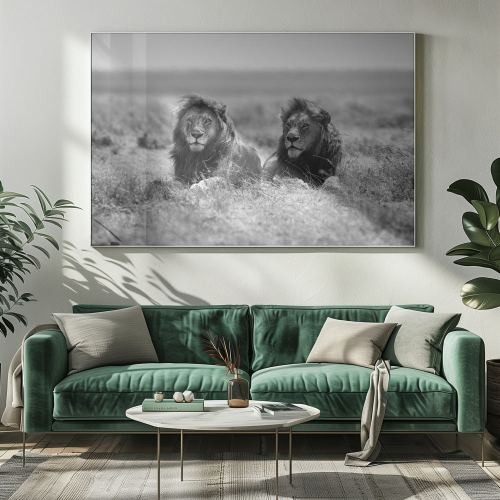 Two kings | Canvas