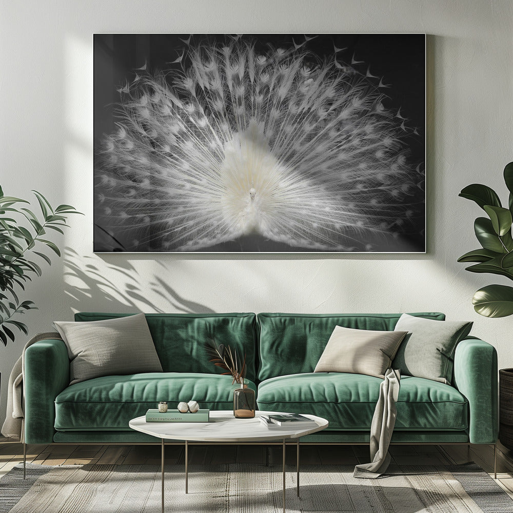 black and white, | Canvas