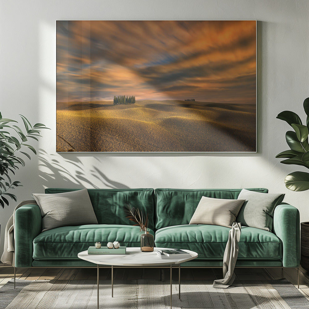 Cypresses... | Canvas