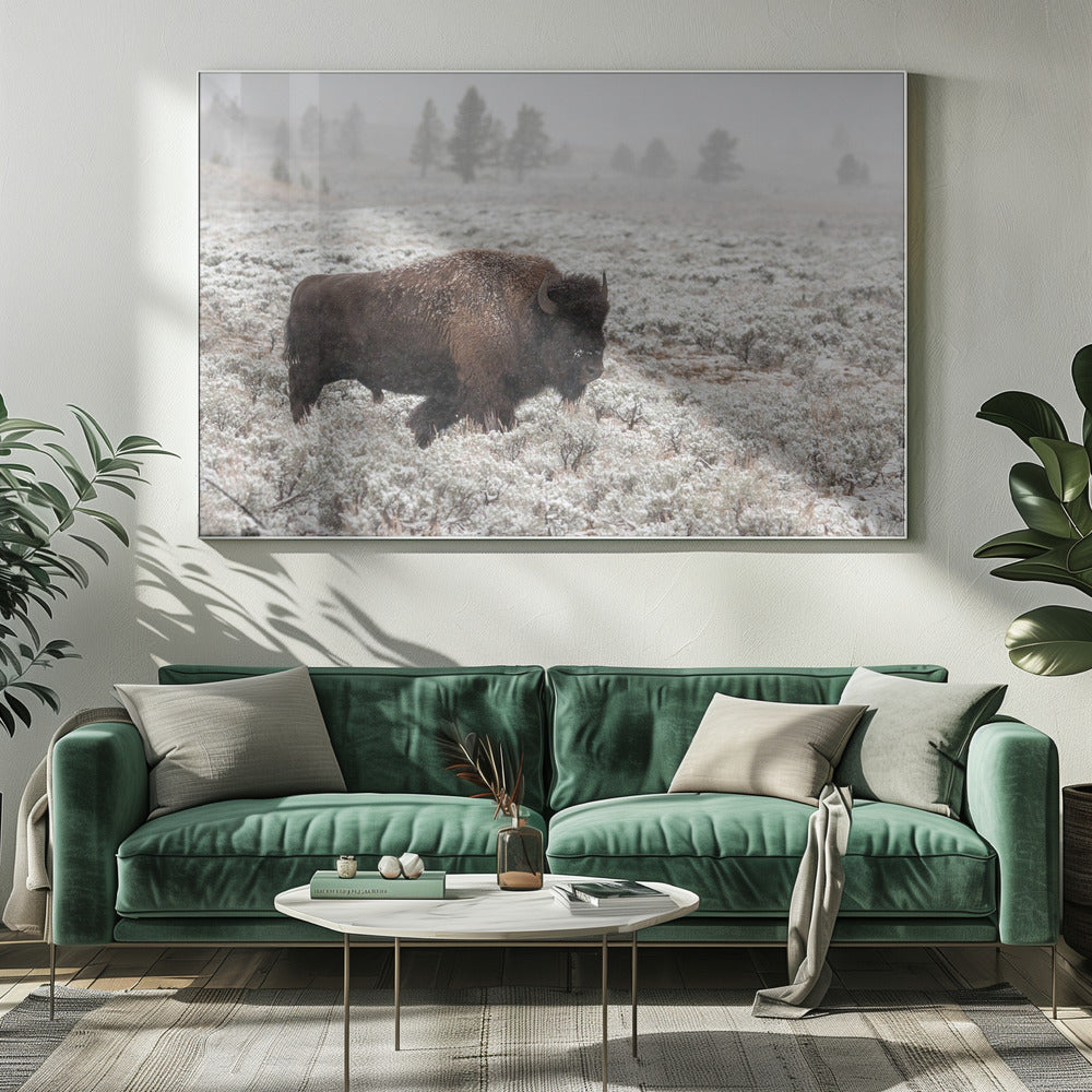 Yellowstone im Spätherbst | Leinwand