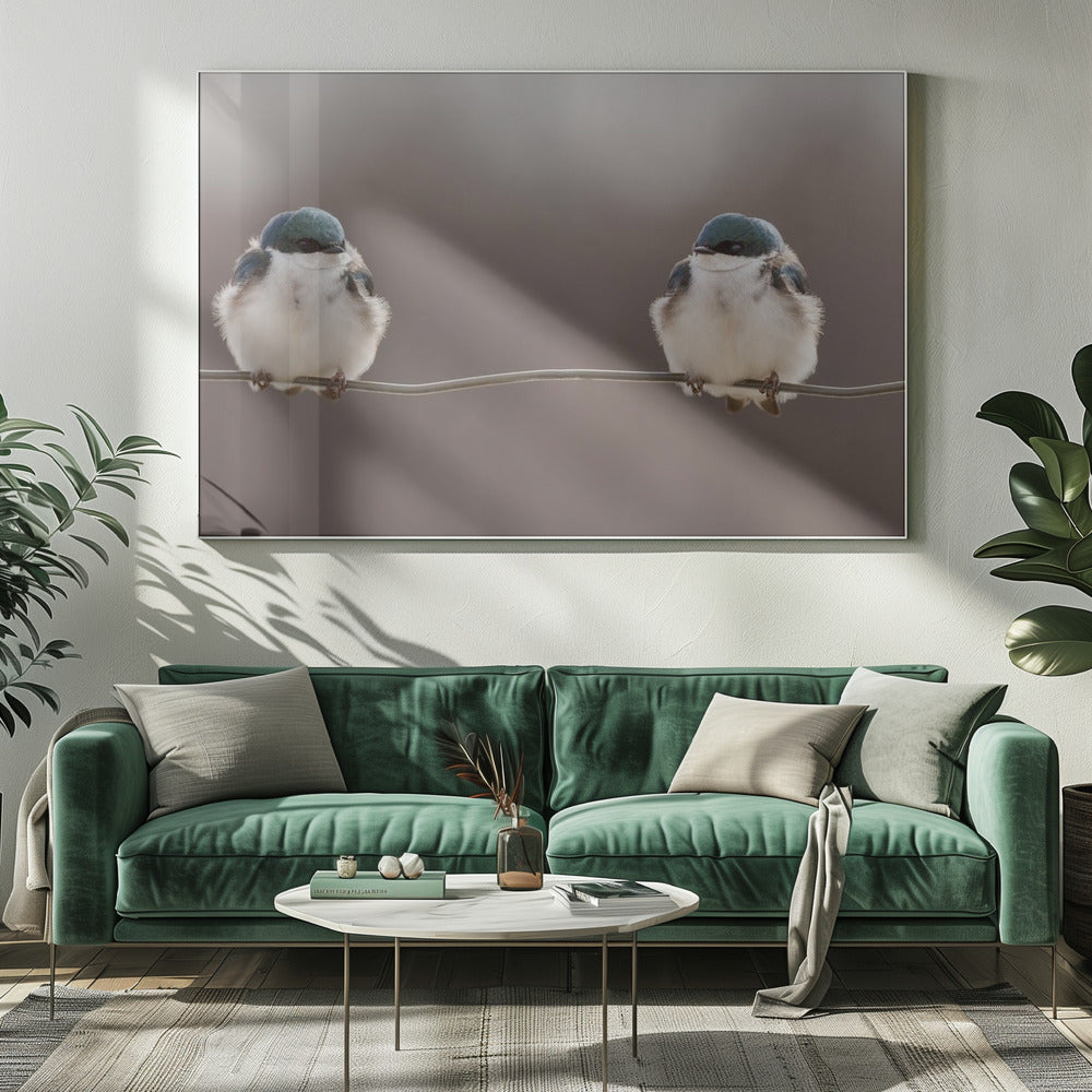 Vögel auf einem Draht | Leinwand
