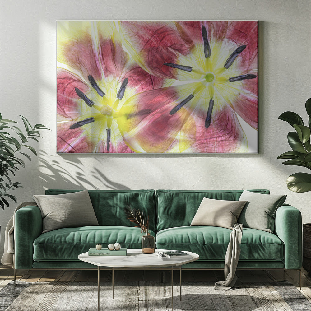 Tulpen | Leinwand