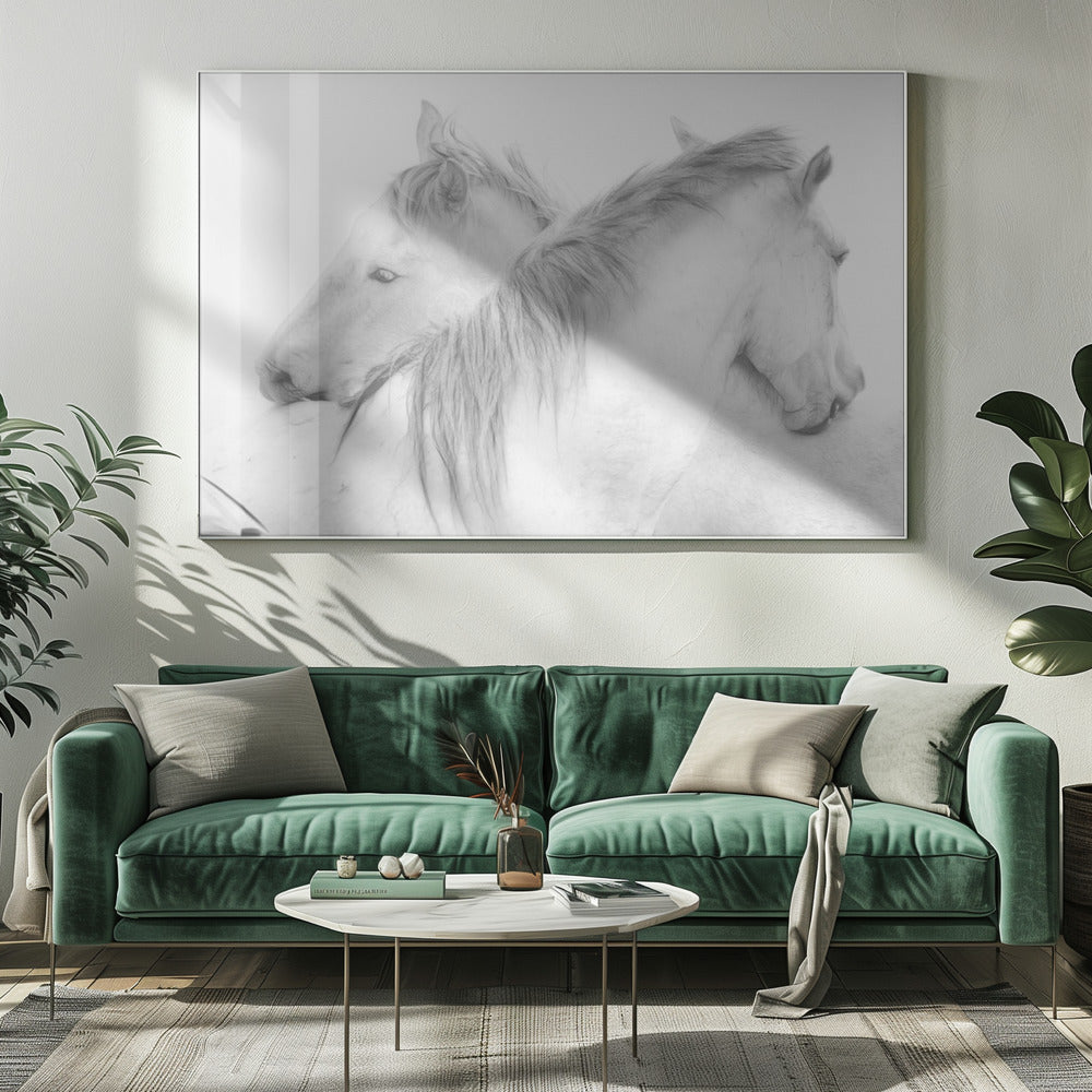 Horses | Canvas