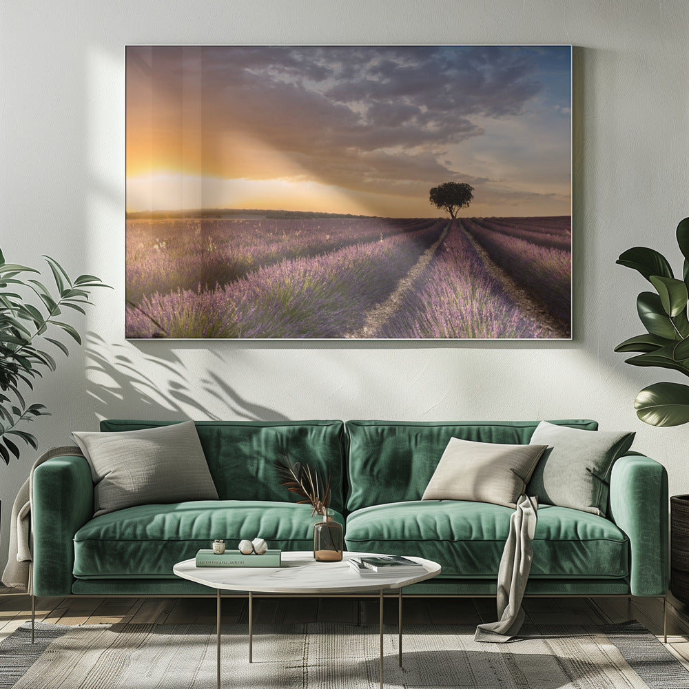 DESTINATION LAVENDEL | Leinwand
