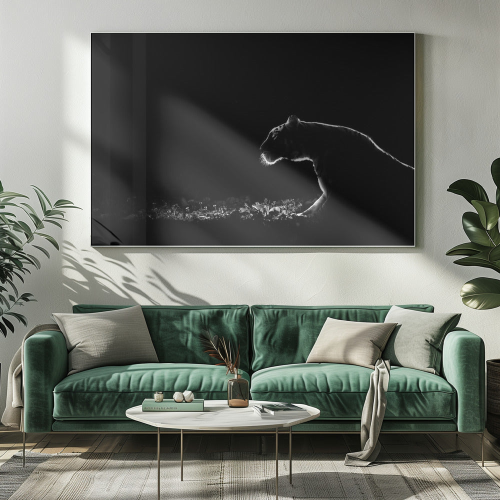 Untitled | Canvas