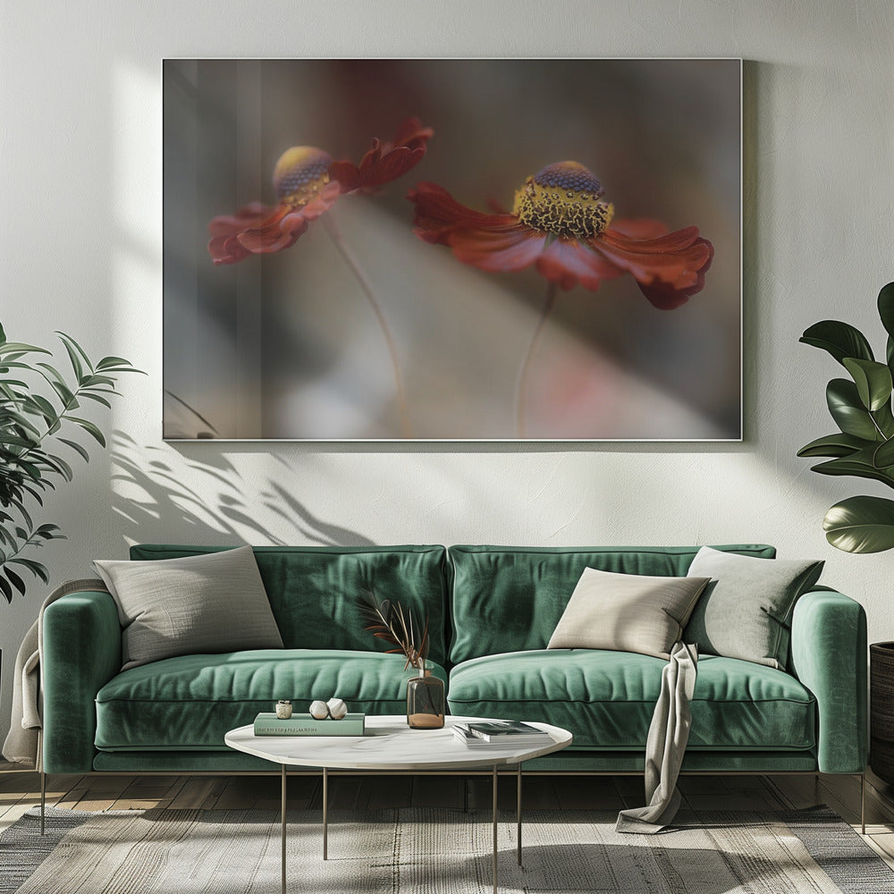 Helenium Tanz | Leinwand