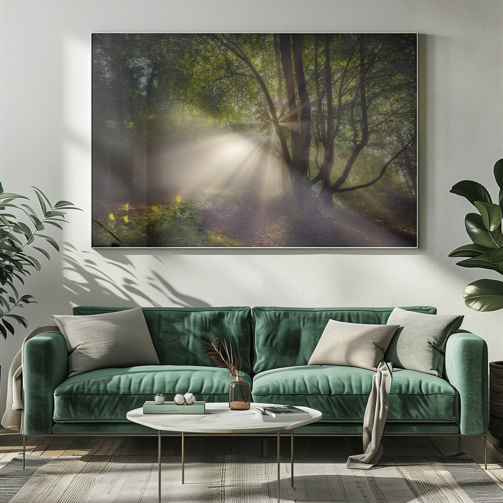 The morning light | Canvas