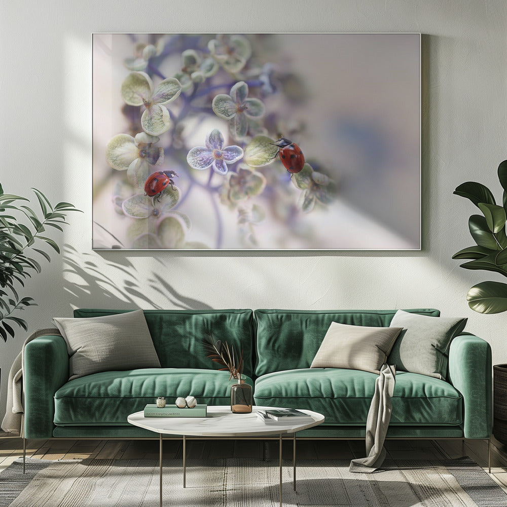 Fragile | Canvas
