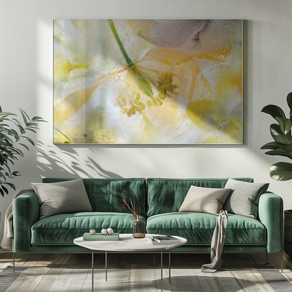 Papaver Ice | Leinwand