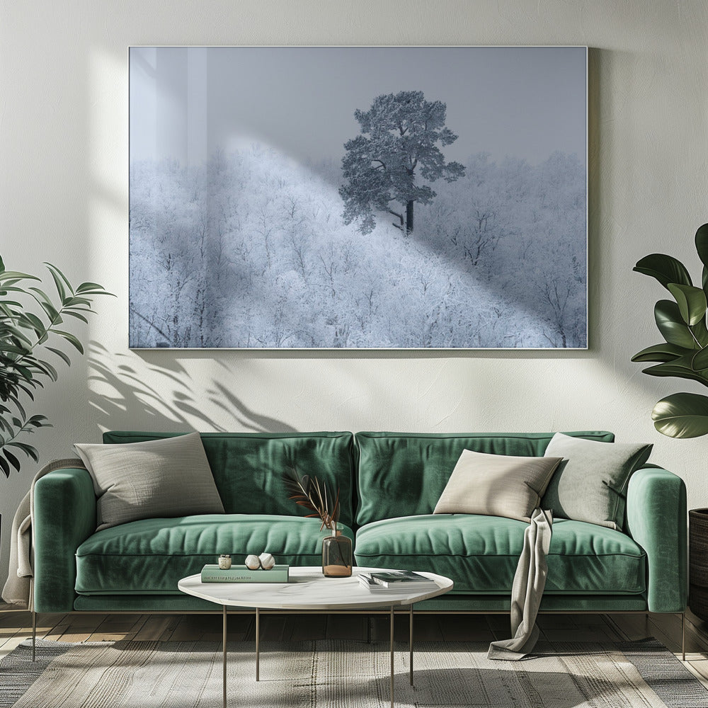 Erster Schnee | Leinwand