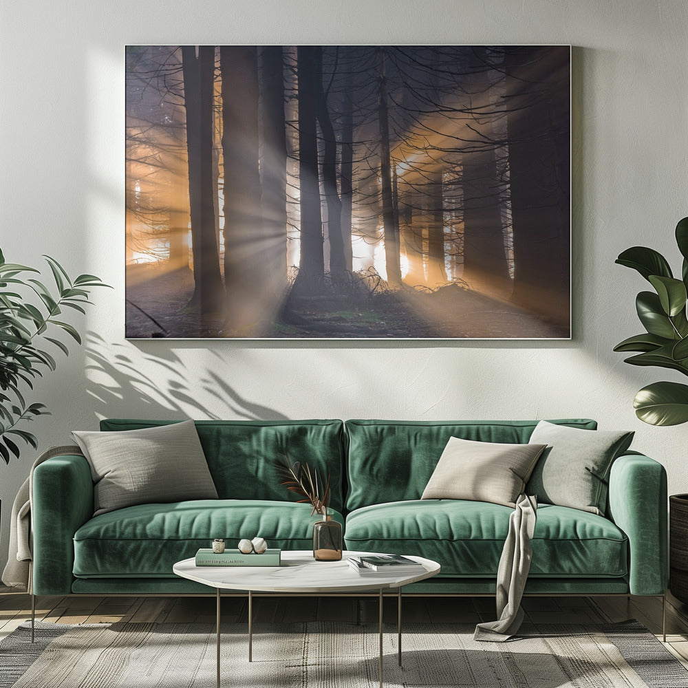 Wald | Leinwand
