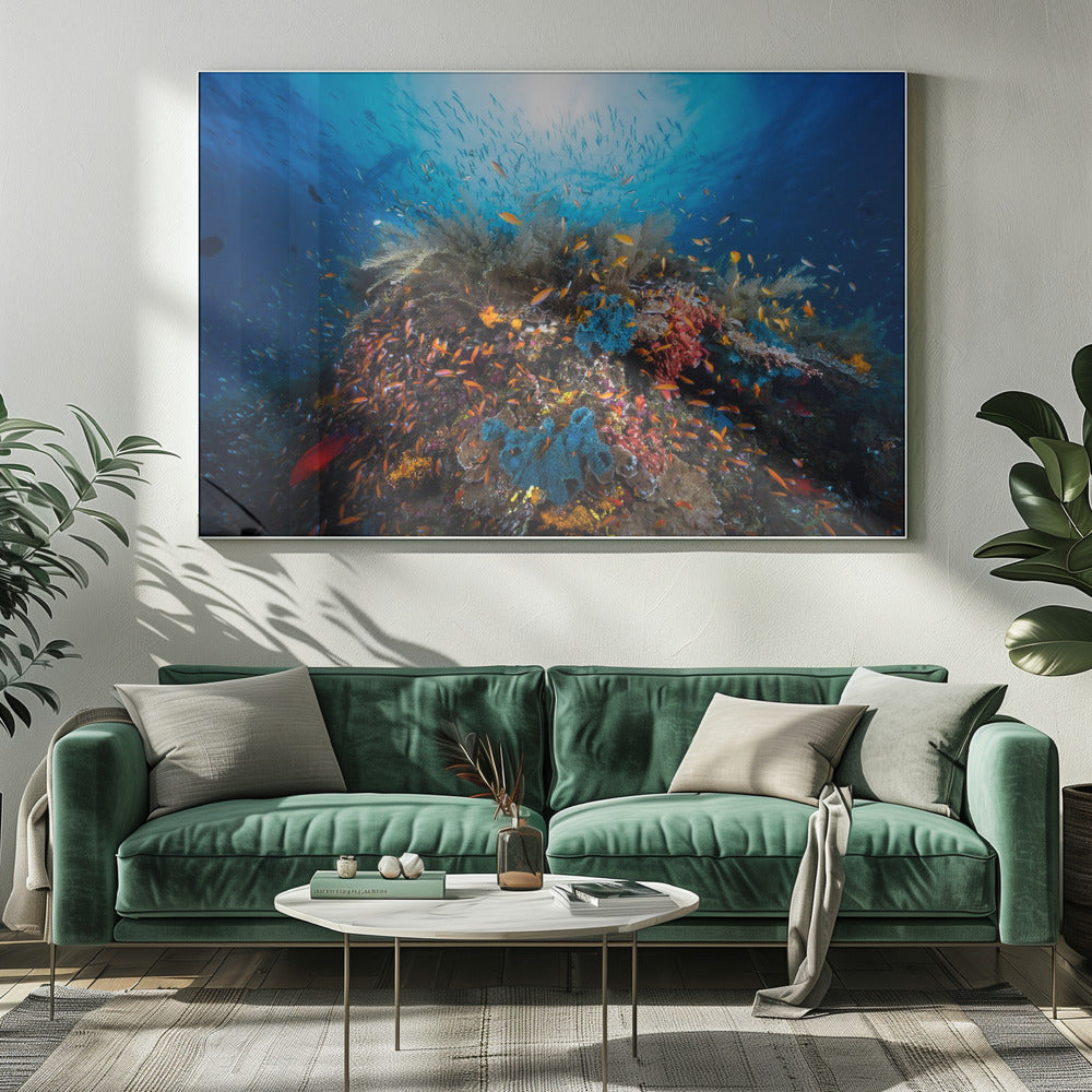 Apnea | Canvas