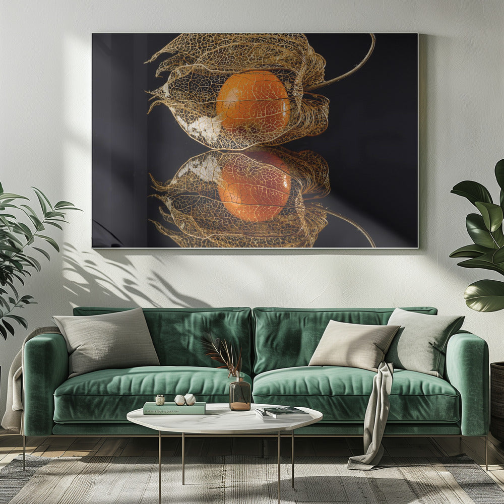 Physalis | Leinwand