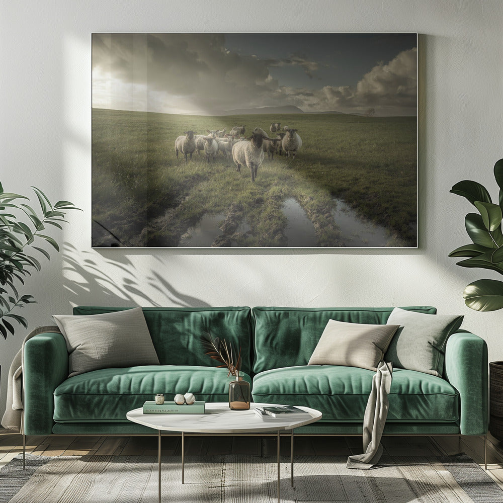 Schaf | Leinwand