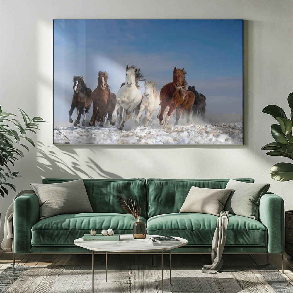 Mongolische Pferde | Leinwand