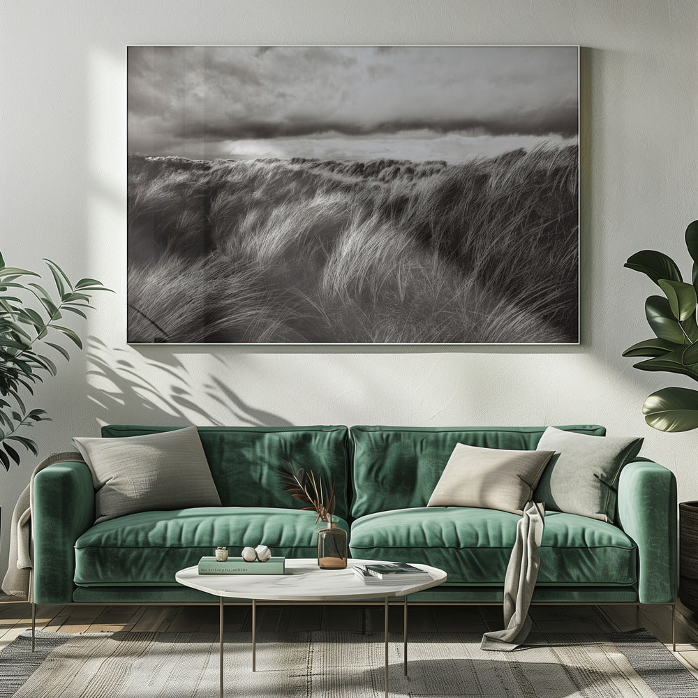 Grasdünen | Leinwand