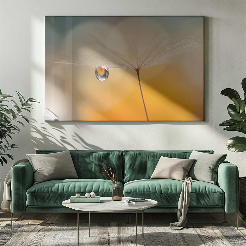 Kleine Nachtmusik... | Leinwand