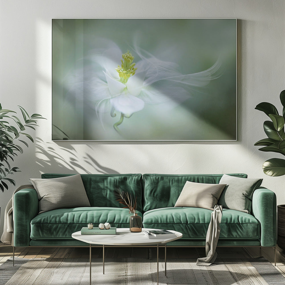 Mystisch | Leinwand