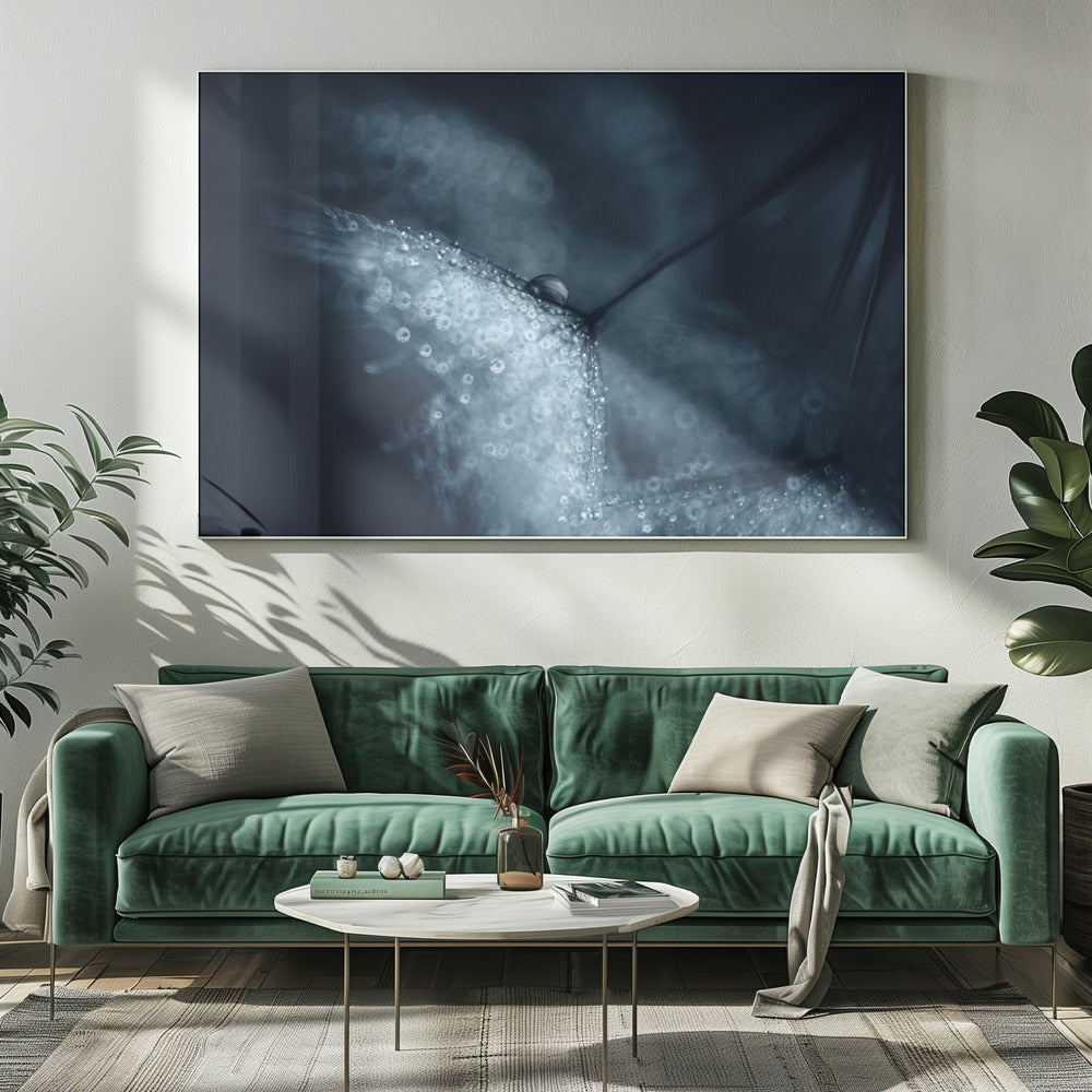 Blaue Pusteblumen | Leinwand