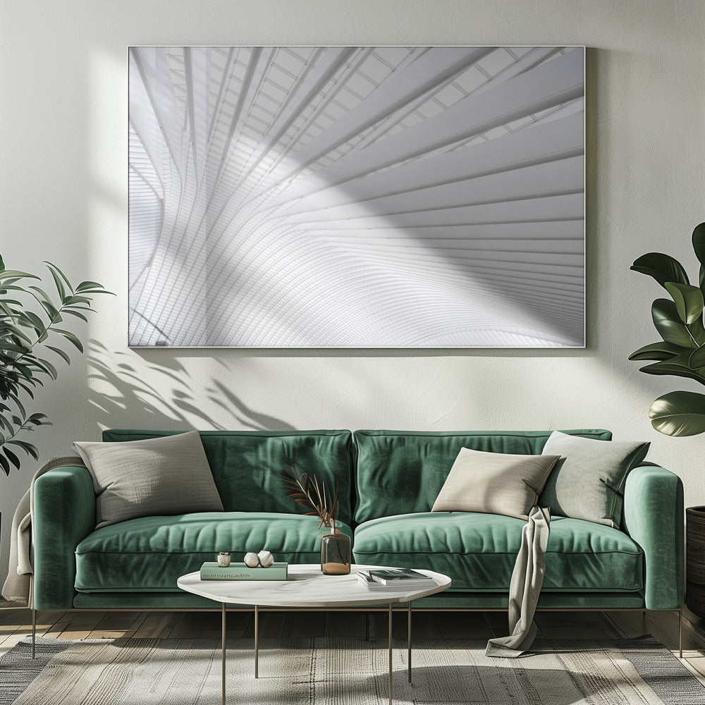 Curvature | Canvas