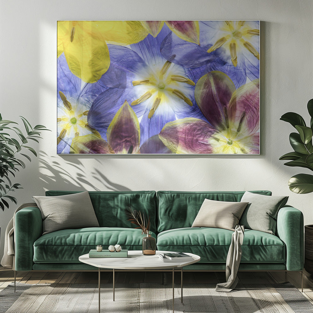 Tulpen | Leinwand