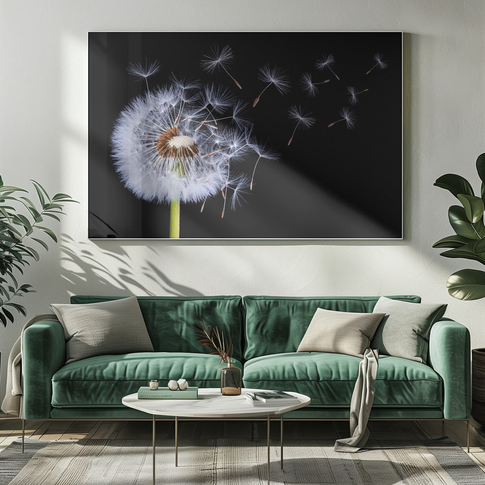 Pusteblume | Leinwand
