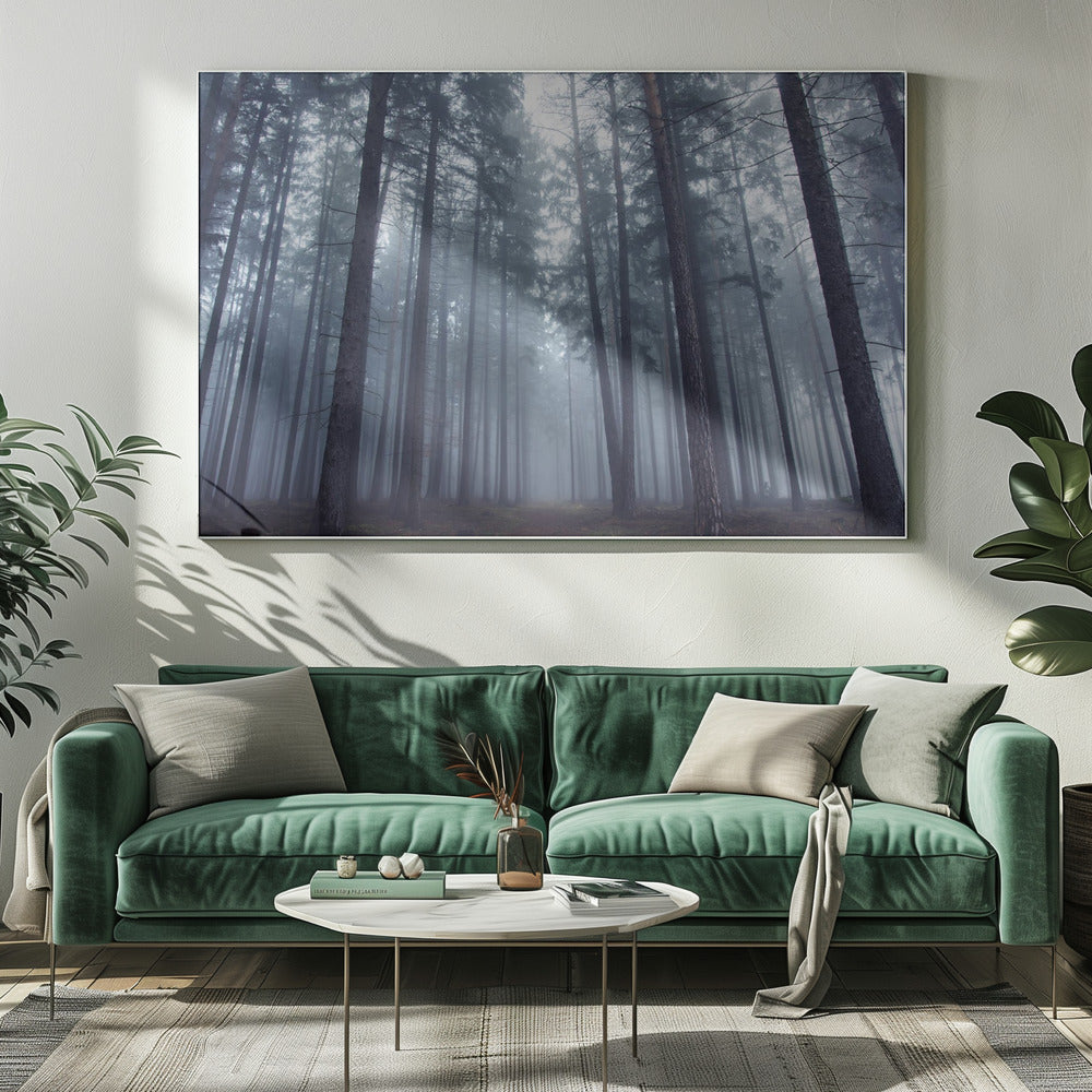Geheimnisvoller Nebelwald. | Leinwand