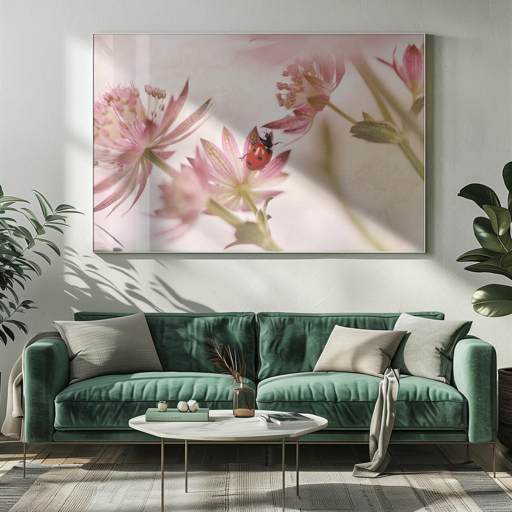 Marienkäfer und rosa Blumen | Leinwand