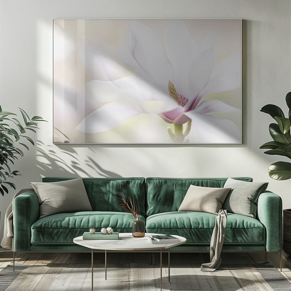 Purity | Canvas