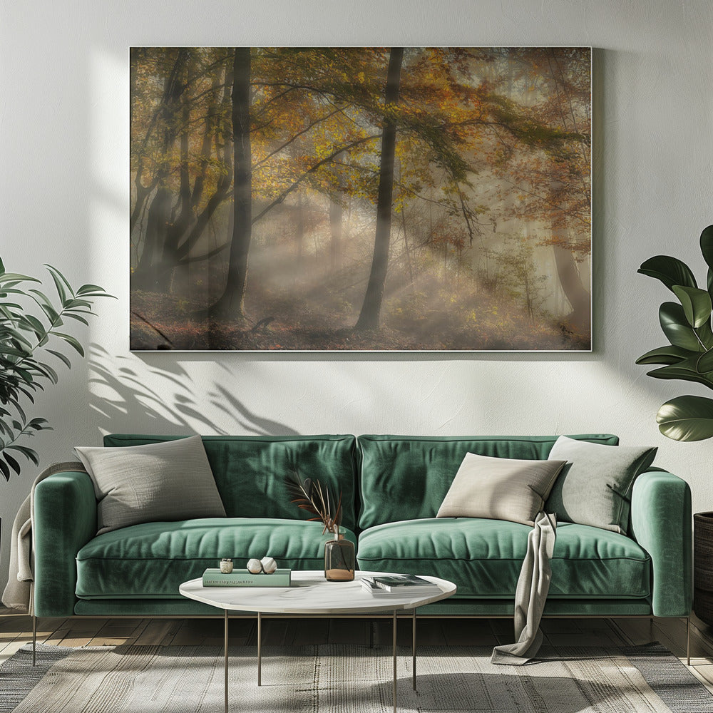 Die Lichter des Waldes | Leinwand