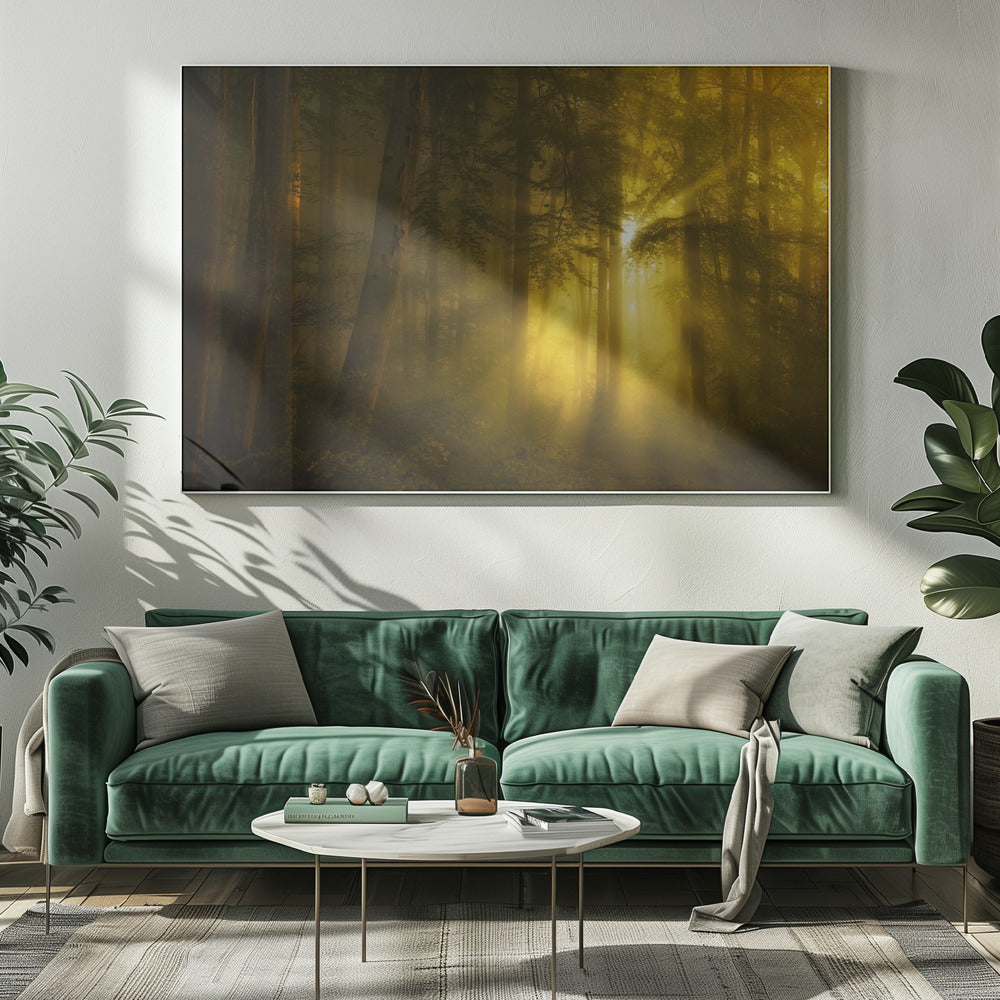 Yellow | Canvas