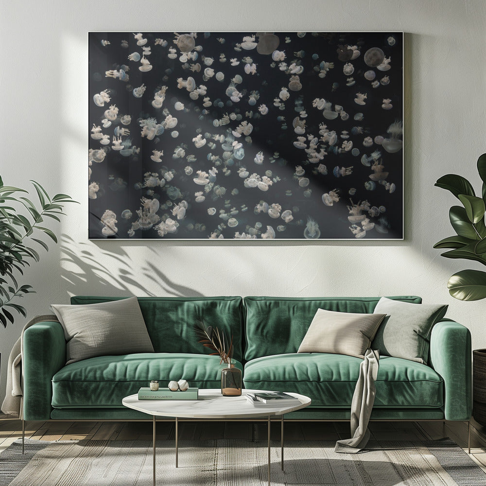 Just some Jellies | Canvas