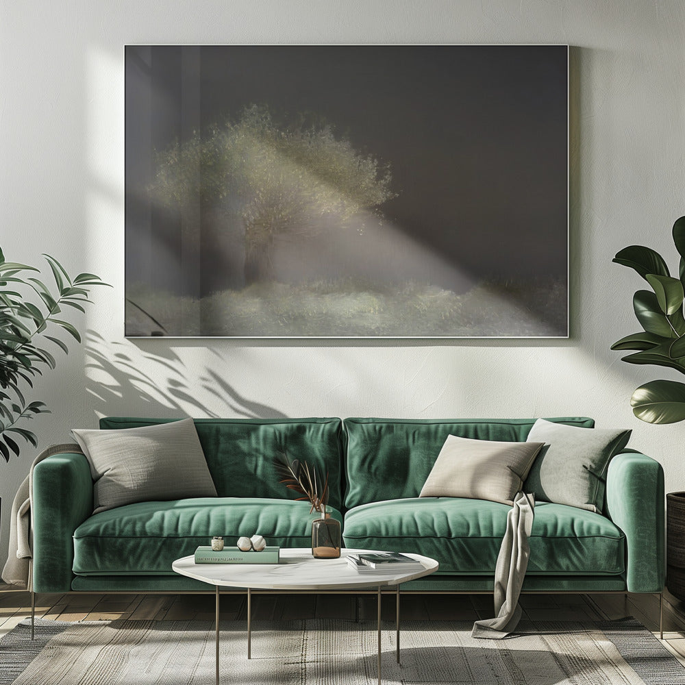 Willow | Canvas