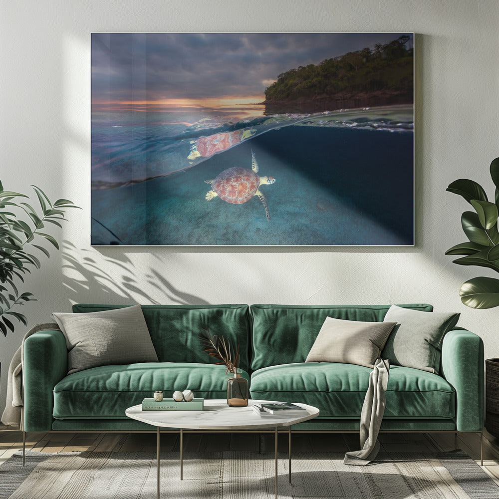Green turtle with sunset | Canvas