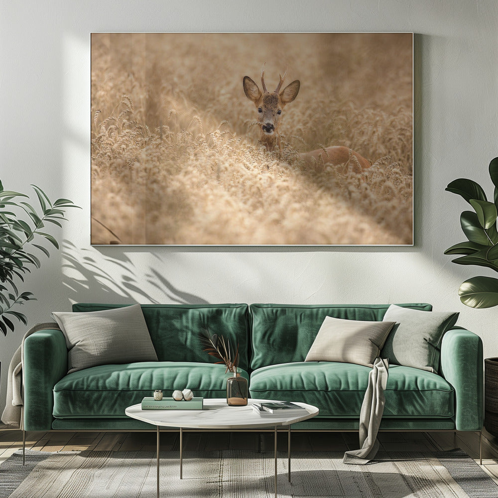 Hirsch auf dem Feld | Leinwand