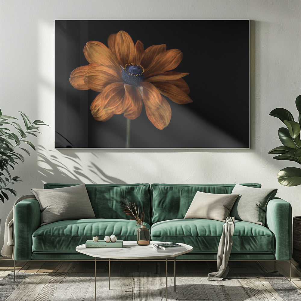 Rudbeckia | Leinwand