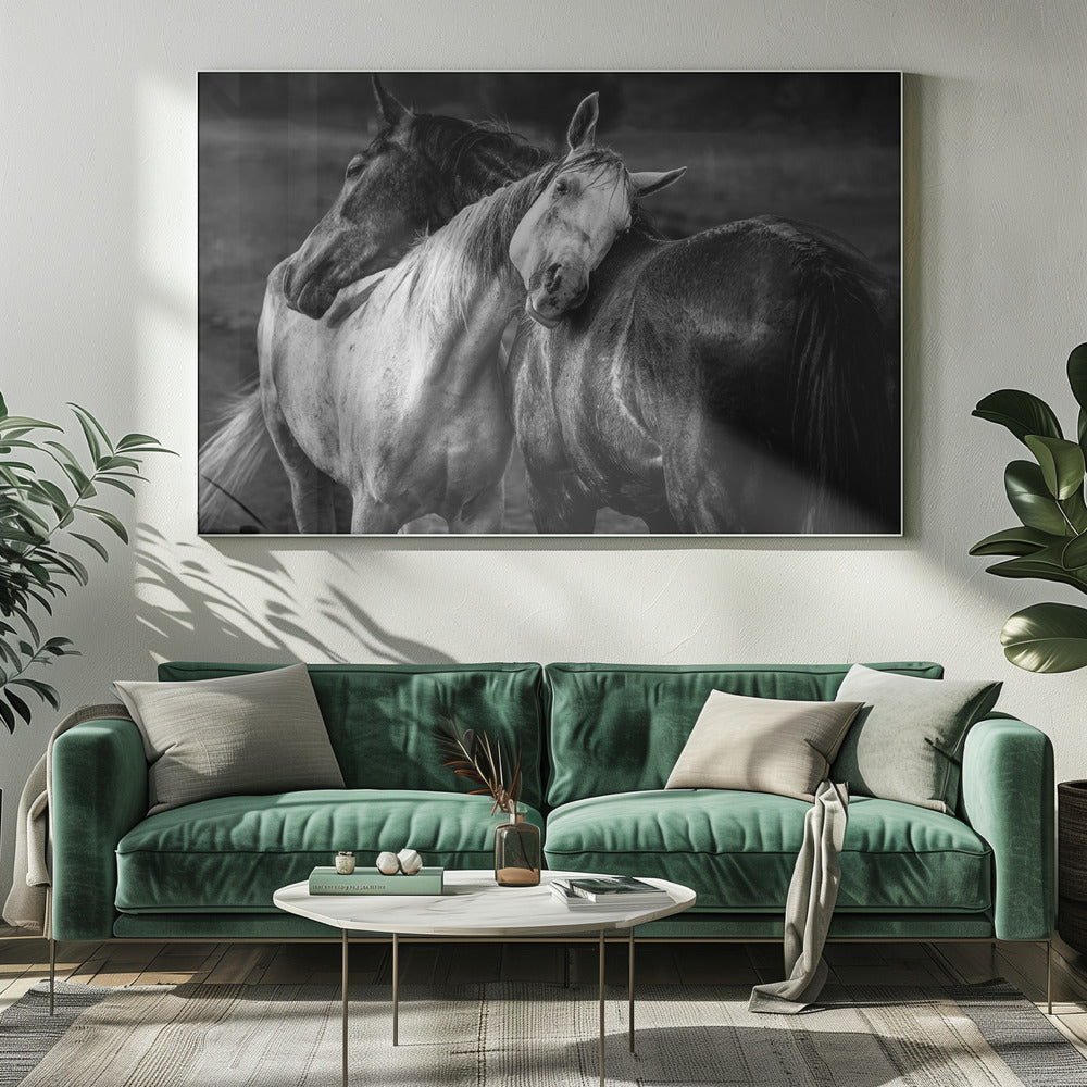 Warm rain | Canvas