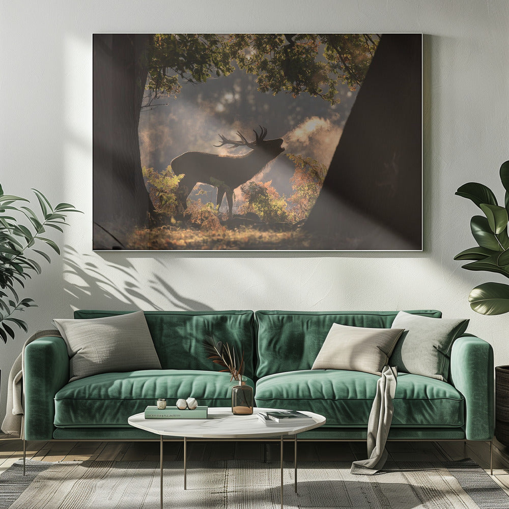 Er wartet im Schatten | Leinwand