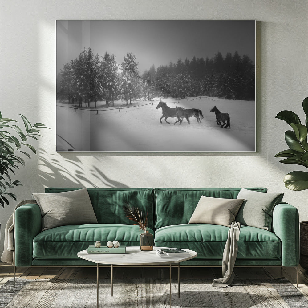 Ohne Titel | Leinwand