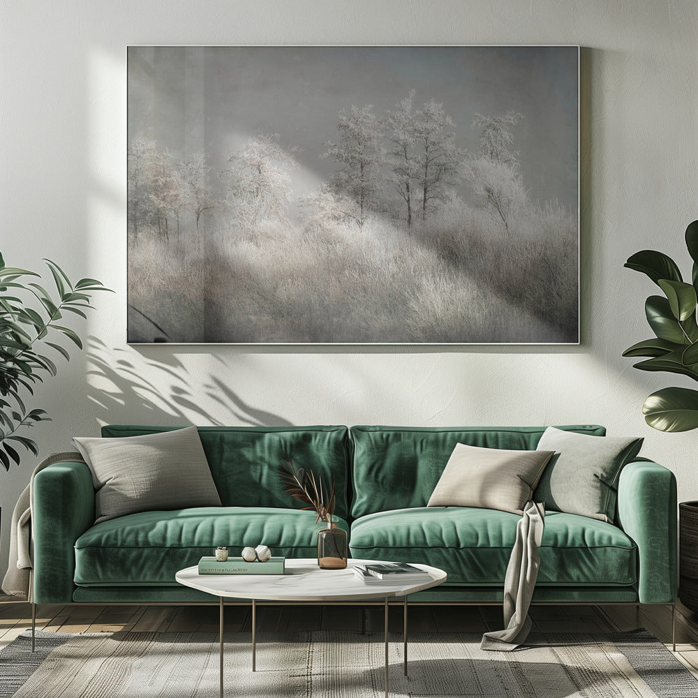 Cold morning | Canvas