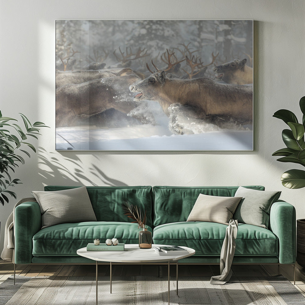 Rentiere III | Leinwand