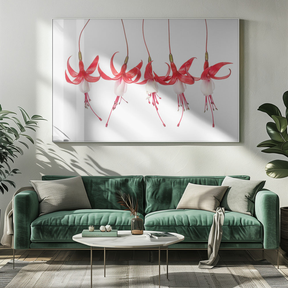 Fuchsie | Leinwand