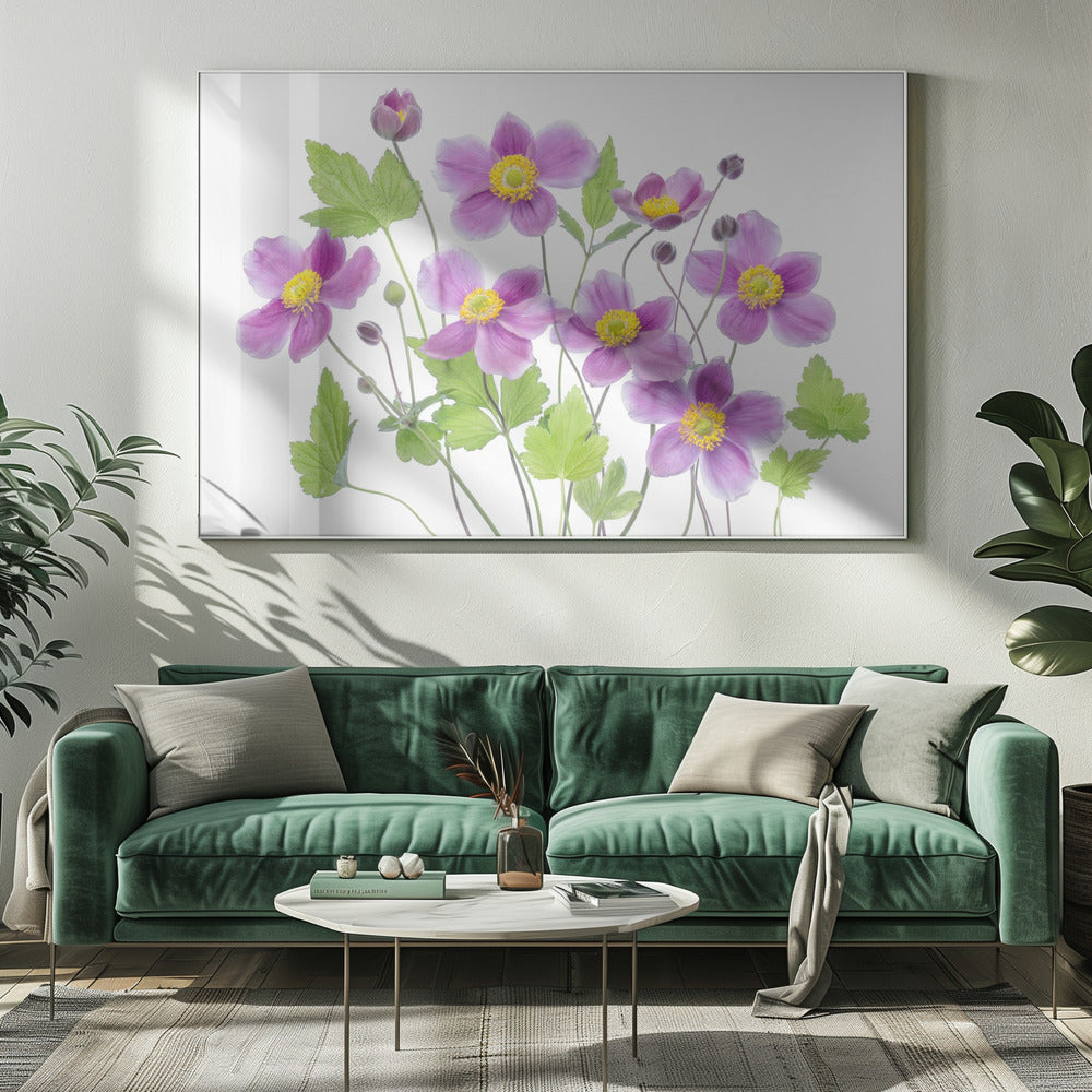 Anemone 'Hadspen Abundance' | Leinwand