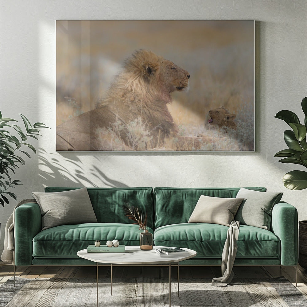 Male lion with cub | Canvas