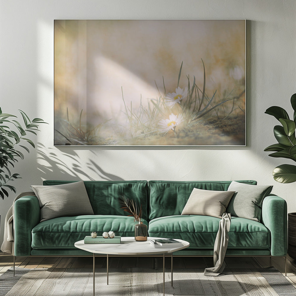 Ohne Titel | Leinwand